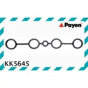 Payen Spark Plug Tube Seal - KK5645
