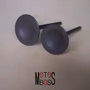 Orignal Intake/exhaust valve Linhai 400 Scooter ATV UTV with LH180MQ Engine