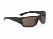 Men's Dark Brown Wayfarer Sunglasses