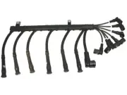 Spark Plug Wire Set For 95-01 BMW 750iL BY42N9 (for: BMW)
