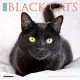 Black Cats 2021 Mini Wall Calendar