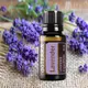 doTERRA 多特瑞薰衣草精油15ML 薰衣草Lavender 精油 精油之母 薰香 好眠 放鬆 公司貨