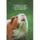 I LOVE MY GUINEA PIG Notebook, Pet Collection: Perfect Size 6