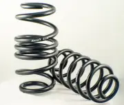 Swift Spec-R Lowering Springs for 17+ HONDA CIVIC TYPE R FK8 (for: Honda)