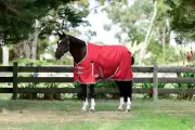 WeatherBeeta ComFiTec Classic Plus Turnout Blanket (50g Medium-Lite)