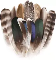 Natural Pheasant Feathers 12Pcs Bulk Feathers 6 Style for DIY Crafts Hat Floral