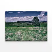 Flowers with a Tree under a Sky Print 100% Australian Made 90 x 60cm (Stretched)
