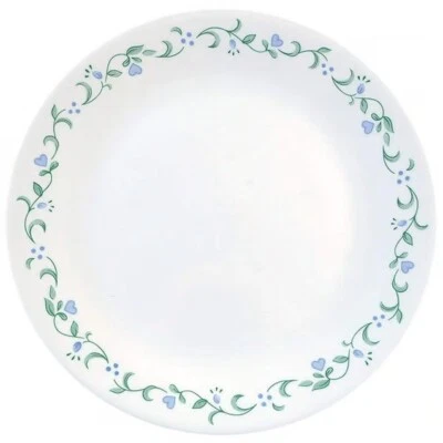 BRAND NEW Set of 4 Corelle COUNTRY COTTAGE 10 1/4" Dinner Plates GREEN BLUE