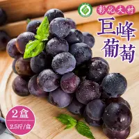 在飛比找Yahoo奇摩購物中心優惠-產銷履歷 彰化大村巨峰葡萄2.5斤x2盒(3串/盒)