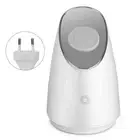 100ml Steamer Nano Steam Spray Moisturizer Sprayer Humidifier Silver EU Plug
