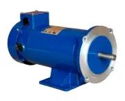 DC MOTOR, 1/4HP, 56C, 12V, 1750RPM, TEFC, Hallmark Industries