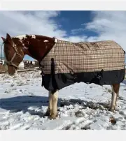 Black Label Heavy Weight Turnout Blanket 400 Gram