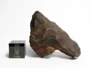 NWA x 49.70g Fantastic Iron Meteorite from North East Africa
