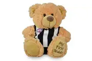 AFL Collingwood First Teddy Bear 23cm Plush Stuffed Animal Kids Soft Toy 0m+