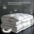 Down Duvet 95 White Goose Down Five-star Hotel Warm Double Single Duvet Core