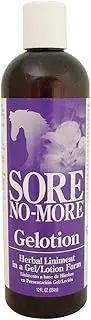 Sore No More Gelotion Bottle, Womens, 103802, 12-Ounce