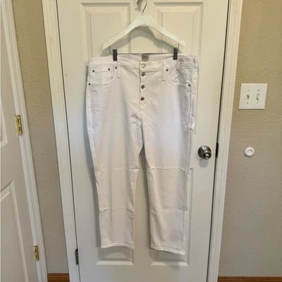 NWT J Crew 10” Vintage Straight Button Fly Jeans White Size 35