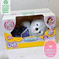 在飛比找蝦皮購物優惠-Little Live Pets 舒適的 Dozys Kip