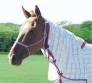 Capriole Ripstop Cotton Rose & Aqua Check Summer Horse Neck Rug