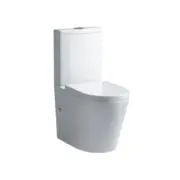 Tornado Cyclone Flush Back To Wall Toilet Suite S&P trap