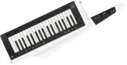 KORG Keyter Synthesizer Stage Keyboard Battery Driven RK-100S 2WH Gloss White