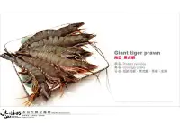 在飛比找Yahoo!奇摩拍賣優惠-【水汕海物】南亞越南的頂級黑虎蝦(大草蝦5P)  赤足海老 