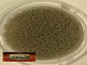 M10373-FS MOREZMORE 32W SMOKY GREY GLASS 1mm Microbeads Micro Beads