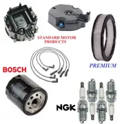 Tune Up Kit Filters Cap Rotor Wire Spark Plugs For JEEP CJ5 L4 2.5L 1980-1981 (for: Jeep)