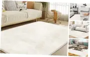 Ultra Soft Area Rug 5x7 Feet, Cosy Fuzzy Faux Fur Area Rug,Indoor Modern Plush