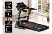 BLACK LORD Treadmill Electric Auto Incline Home Gym Exercise Run Machine EXP32