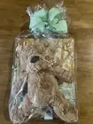 Jellycat Bumbly Bear Plush Brown Teddy Plush It’s A Big World Bartholomew Book