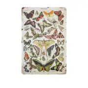 Butterflies Papillons 12 x 8 inch Metal Sign