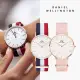 【Daniel Wellington】DW 手錶 精選Classic/Petite系列 36mm 織紋錶(多款任選 DW00100032)