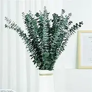 20pcs Real Dried Eucalyptus Plant Large Stems, Natural Fresh Eucalyptus Leaves, 17'' Hanging Eucalyptus Branches Leaves for Shower, Vase Filler, Home Decor, Wedding