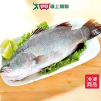 在飛比找ETMall東森購物網優惠-台灣金目鱸魚500~600G/尾【愛買冷凍】