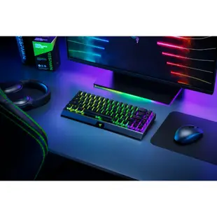 Razer 雷蛇 BlackWidow V3 Mini HyperSpeed 65% 黑寡婦蜘幻彩版 布丁鍵英文電競鍵盤