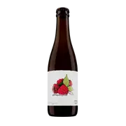 Garage Project Single Fruit Raspberry Sour
