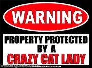 Crazy Cat Lady Funny Stickers - Set of two 6" wide Vinyl Outdoor Stickers WS336