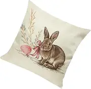 Mikinona Easter Bunny Decorative Cushion Cover Creative Rabbit Design Pillow Protector for Sofa Chair Bed Car for Home and