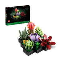 在飛比找momo購物網優惠-【LEGO 樂高】Icons 10309 多肉植物(盆栽 植