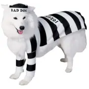 Prisoner Jail Bad Dog Black and White Convict Pet Costume Large