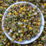 Chamomile Tea