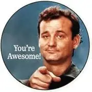 [Generic] Bill Murray You're Awesome 1.5" Round Button Badge Pinback, Metal, metal