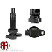 AFI Ignition Coil - C9530
