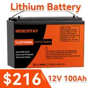 12V 100Ah LiFePO4 Lithium Iron Battery BMS Solar Boat Marine Camping Phosphate