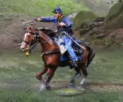 THE COLLECTORS SHOWCASE CIVIL WAR UNION CS01065 UNION CAVALRY CHARGING SWORD