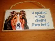 Sheltie Dog Wood Sign Plaque 10"x 5" Dog A Spoiled Rotten SheltieLives Here