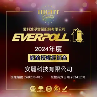 EVERPOLL EVB-T033A後置活性碳濾芯 T-033A 大大淨水