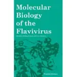 MOLECULAR BIOLOGY OF THE FLAVIVIRUS