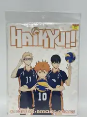 Haikyu!! Volleyball Game Posters Set of 12 Room Decor New Sealed.